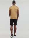 LACOSTE CREW TEE TAN TH6709 00 SIX