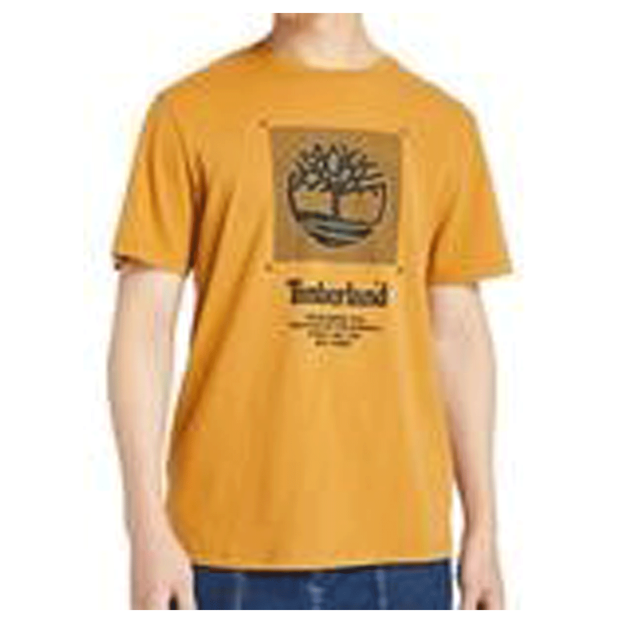 TIMBERLAND FRONT BOX TEE REG WHEAT TB0A2D62-P47